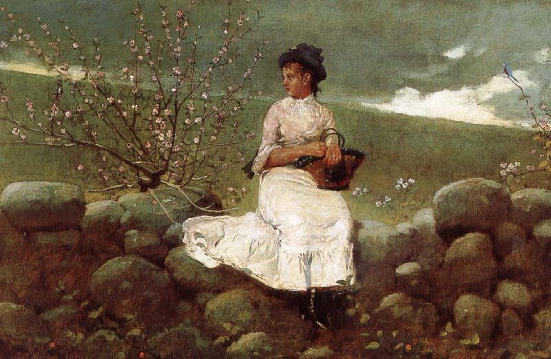 Winslow Homer Peach bloom Norge oil painting art